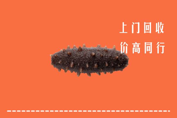 锡山区回收海参