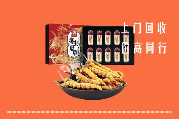 收购行情：锡山区回收虫草